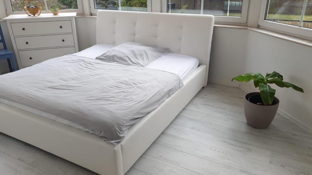 Grosse & Voll Ausgestattete Apartments, Studios, Doppelzimmer, Workspace, Parkplatz, Netflix, Prime & Schnelles Wifi In Ruhiger Lage Mit Garten Rudolstadt Eksteriør bilde