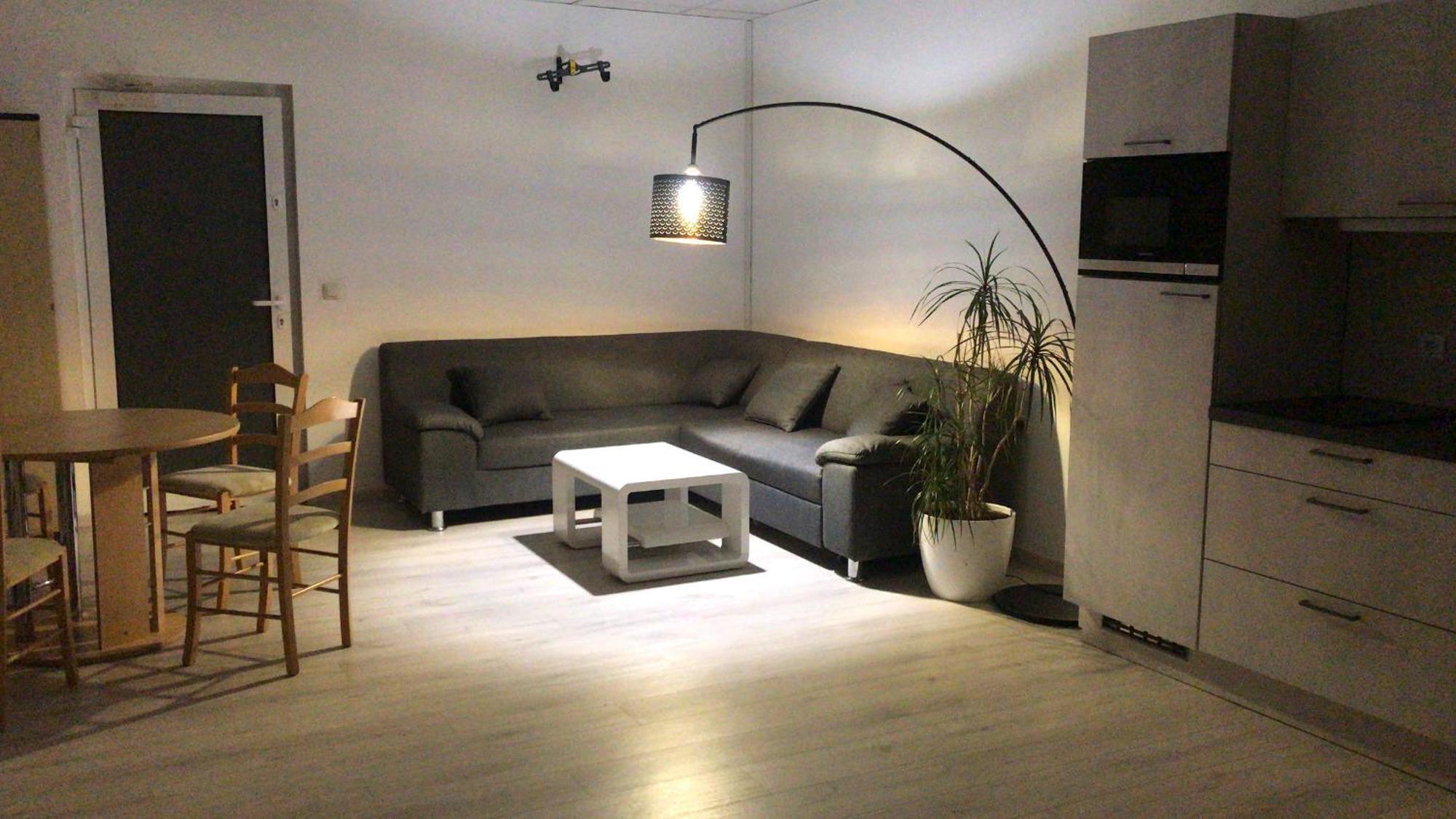 Grosse & Voll Ausgestattete Apartments, Studios, Doppelzimmer, Workspace, Parkplatz, Netflix, Prime & Schnelles Wifi In Ruhiger Lage Mit Garten Rudolstadt Eksteriør bilde